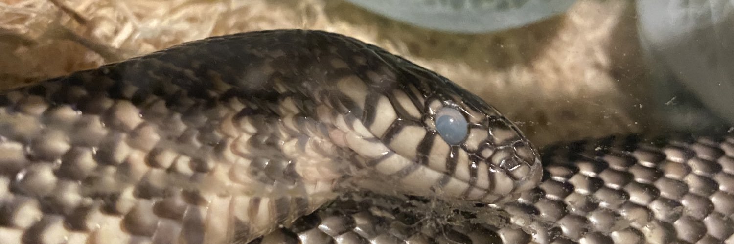 amandakbiles's profile banner image
