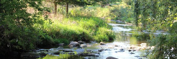 OhioBrooklyn Profile Banner
