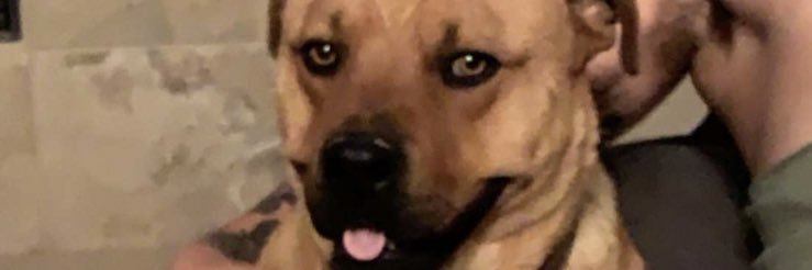 Kylo_jay's profile banner image