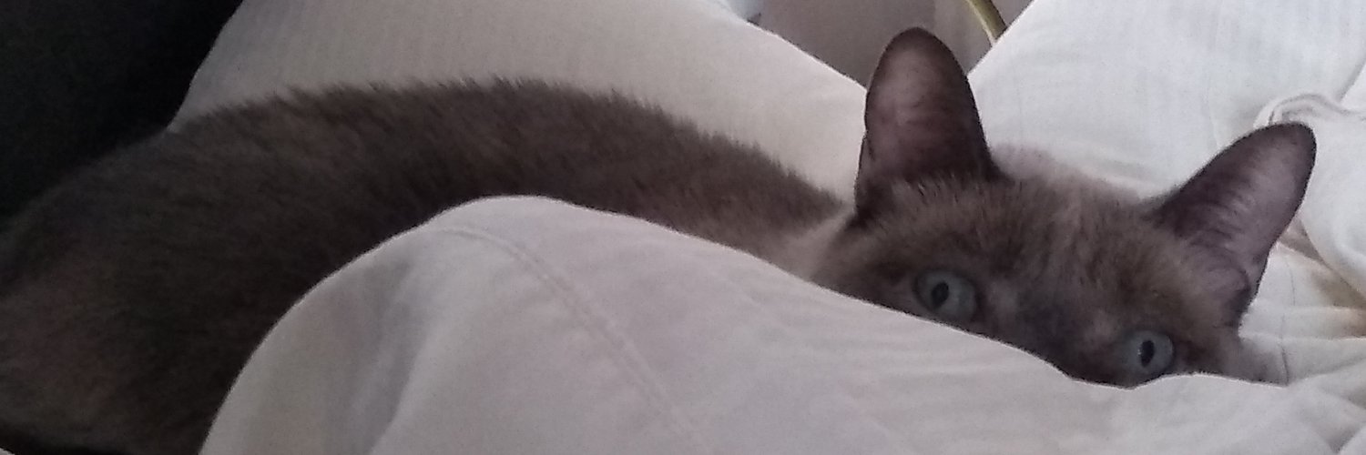 PeggyDavisLA's profile banner image