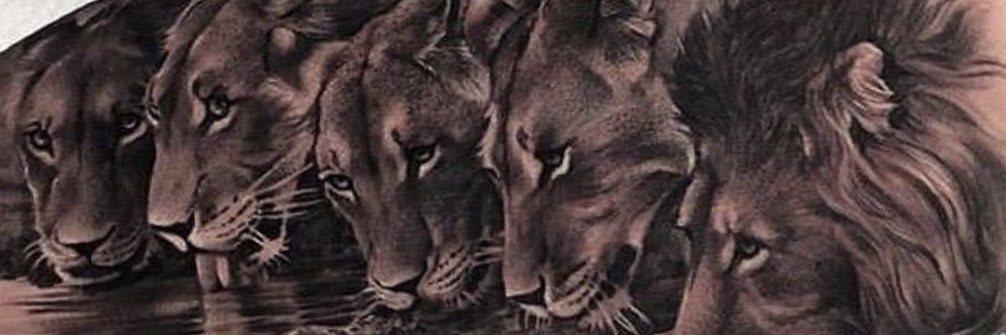 KnockOut3571's profile banner image