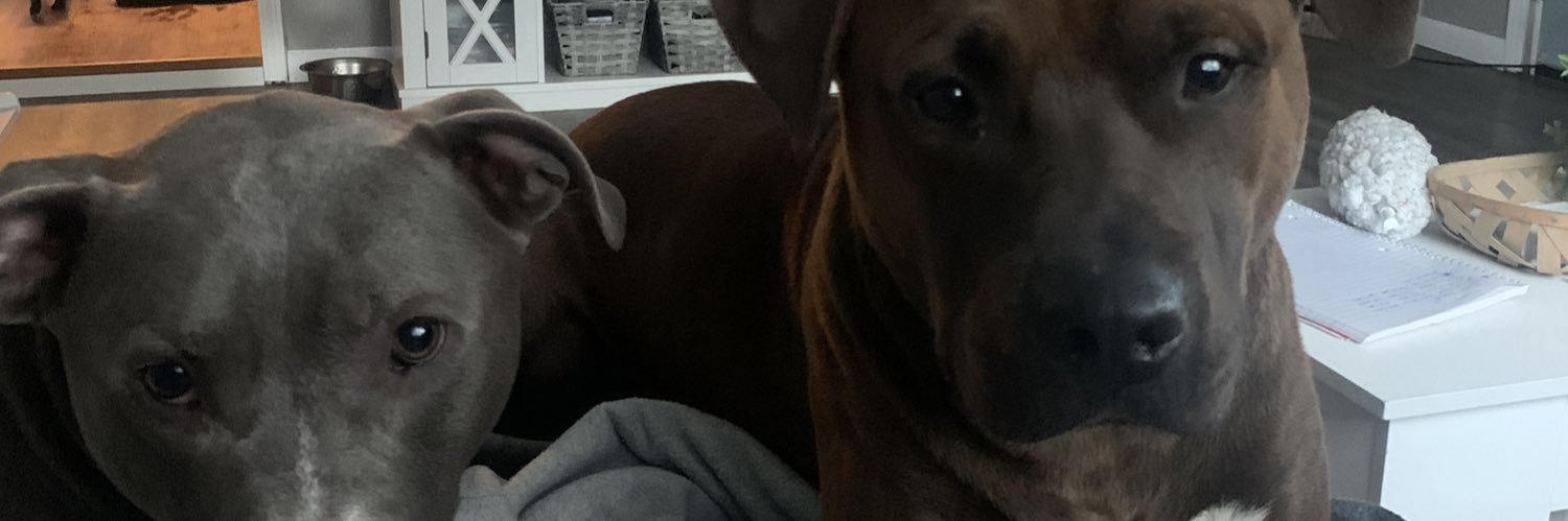 Caylee_Morgan_'s profile banner image