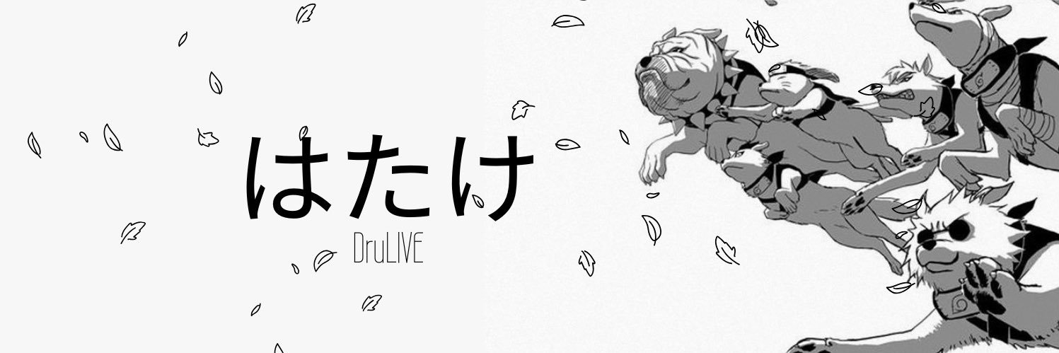 DruLIVE banner