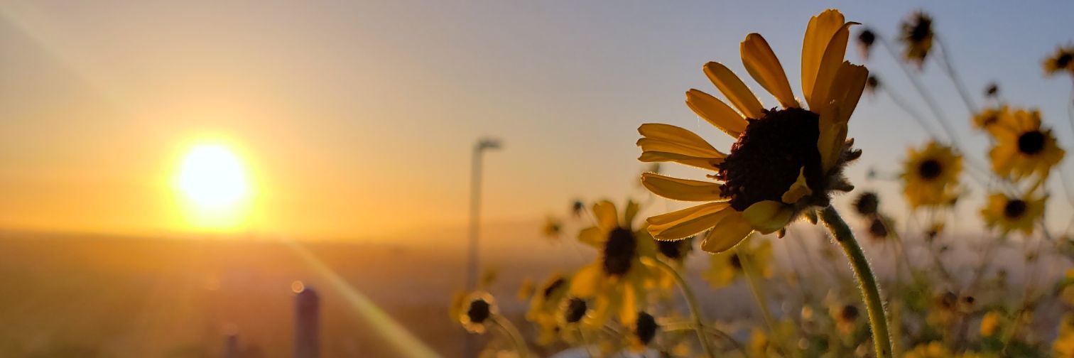 beccaLynne94's profile banner image