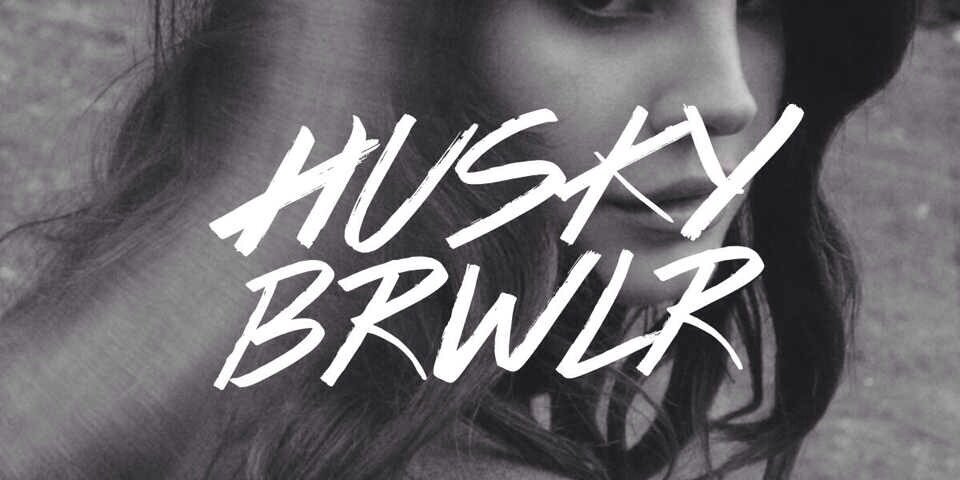 Husky Brawler banner