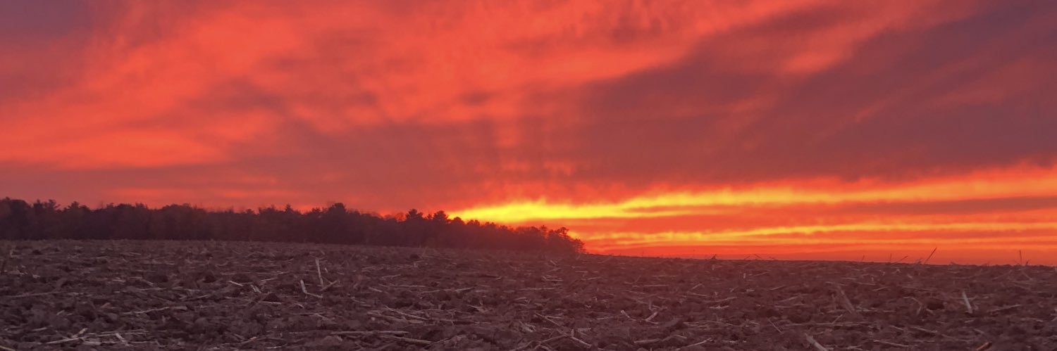 schwammy32's profile banner image