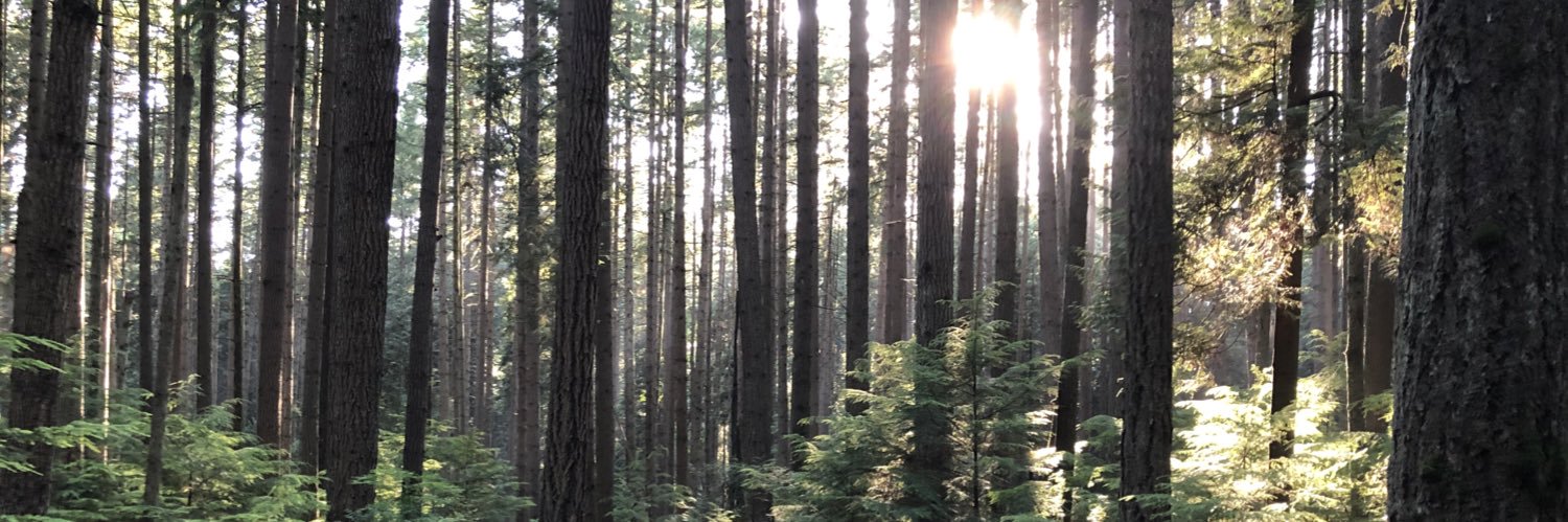 DevonGreyson@mstdn.social / @greyson.bsky.social banner