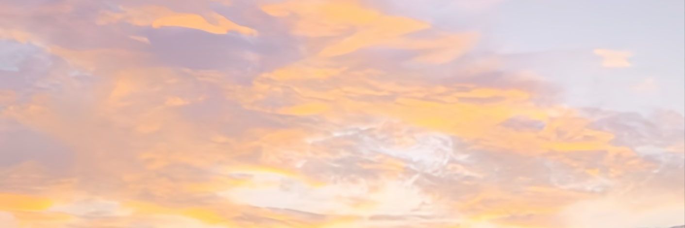 αℓ bong bong banner