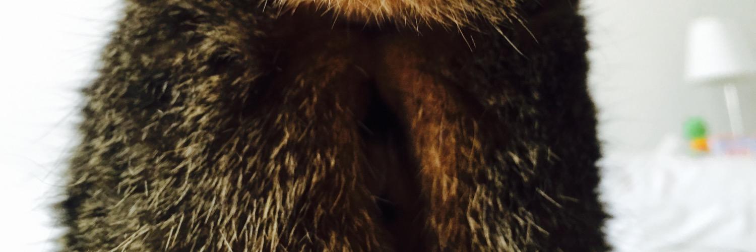 call_ej's profile banner image