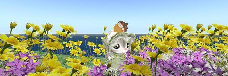 りすぽん＠Risusipo Jun＠どんぐり谷＠華樂京SIM banner