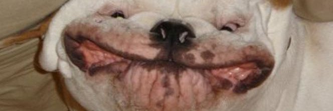 ArnejXD banner