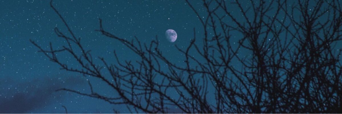abodi883's profile banner image