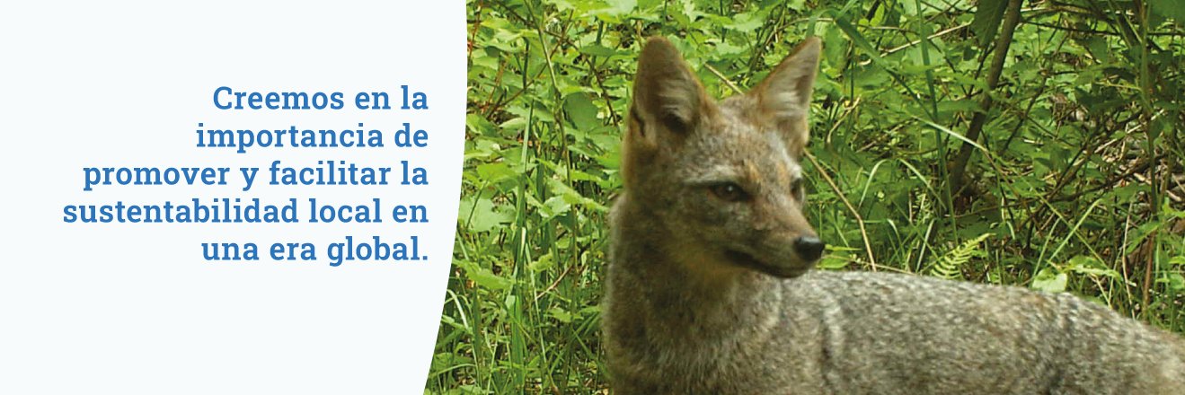 Centro UC Desarrollo Local 🌱🌎 banner