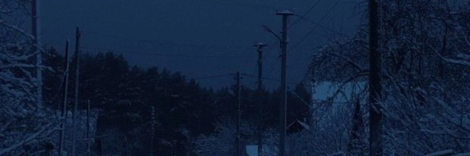 satansflowerr's profile banner image