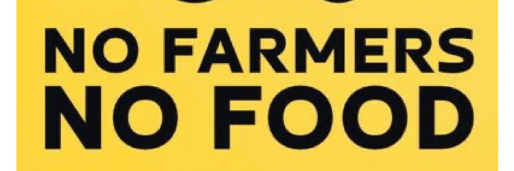 MHelstern's profile banner image