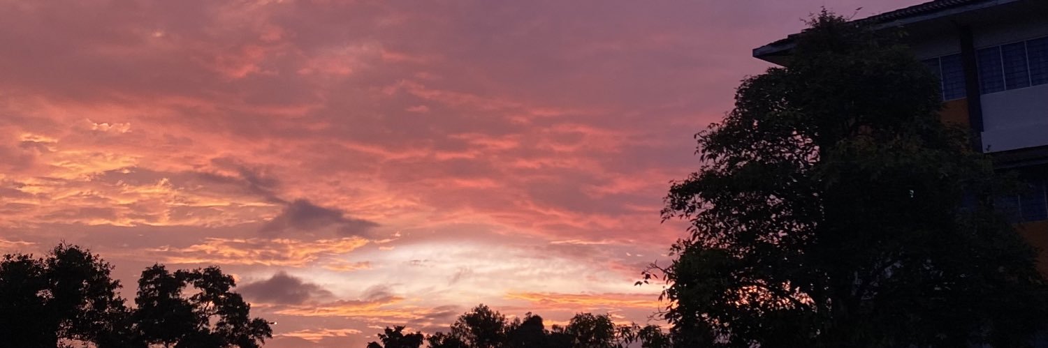 Adammmpineapple's profile banner image