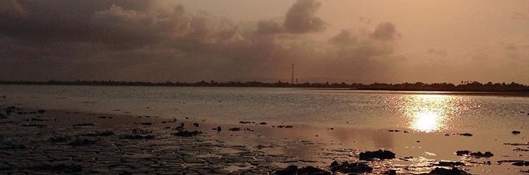 oswaldorn's profile banner image