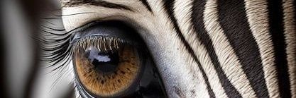 fary2185's profile banner image