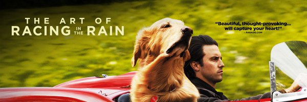 Art of Racing Movie Profile Banner