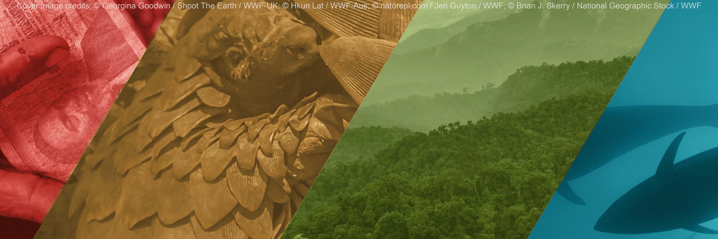 Targeting Natural Resource Corruption banner