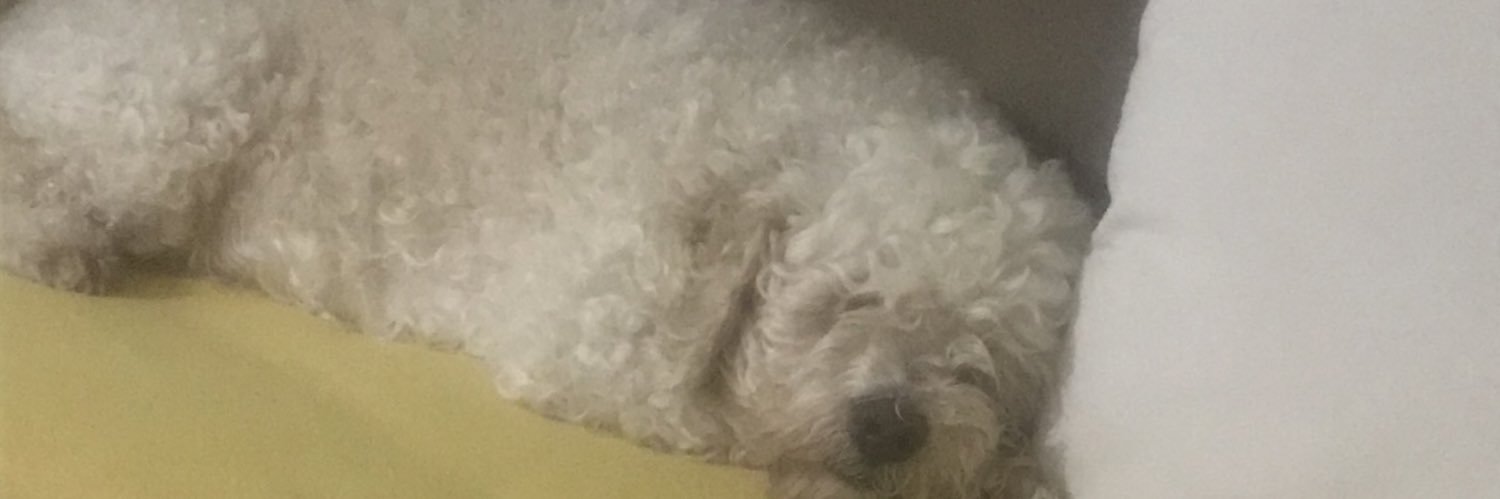 Snglsyg's profile banner image