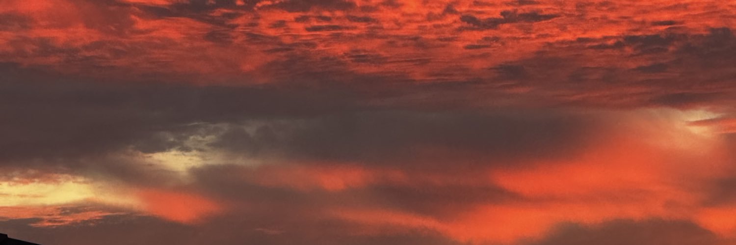 Charmandee_'s profile banner image