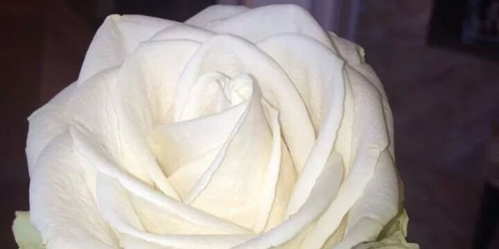 tinabulla's profile banner image