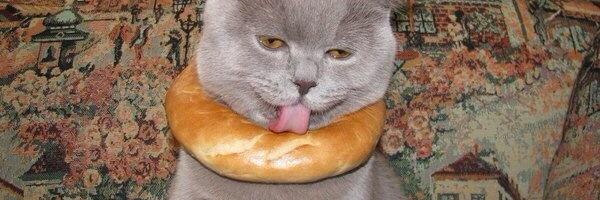 rikksquad Profile Banner