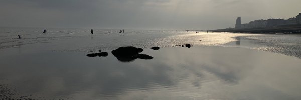 PaintboxJane Profile Banner