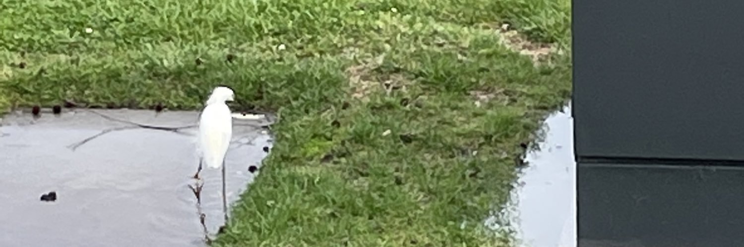 Marian . 🐙🧬🇬🇷💙💛🏳️‍🌈🏳️‍🌈 banner