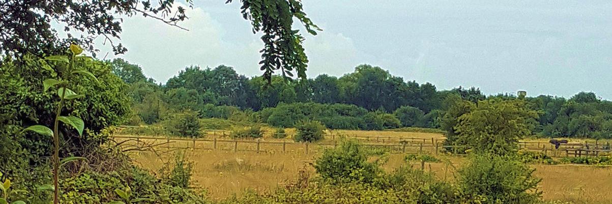 Billet Road site99 Action Group 🍃💚🍃 banner