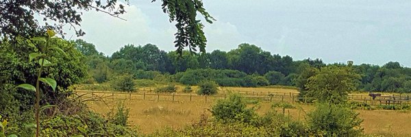 99Billet Profile Banner