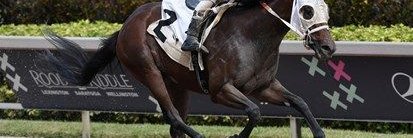 Anne S banner