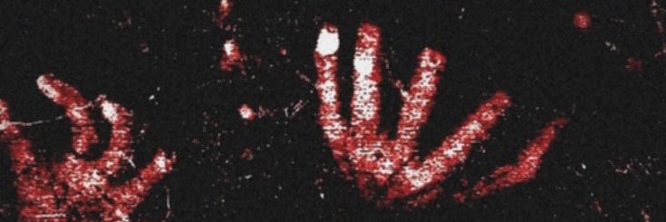 nik banner