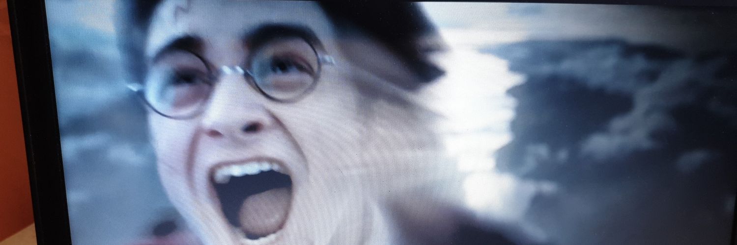 harry pottah! banner