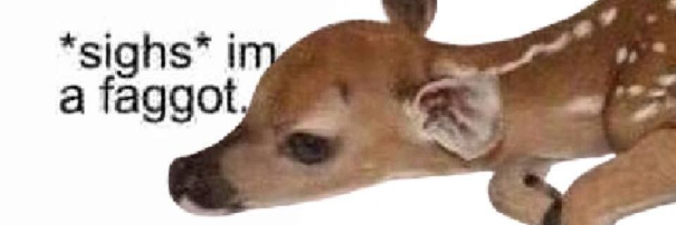 Sebz101's profile banner image