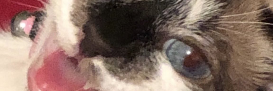 _moonhop's profile banner image