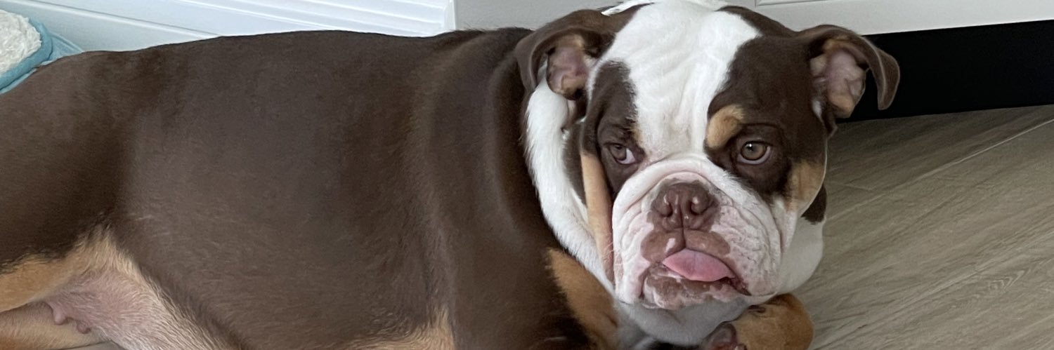 Mark Calcavecchia banner