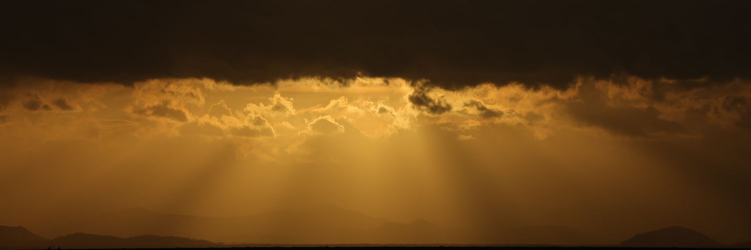 Sauceda banner