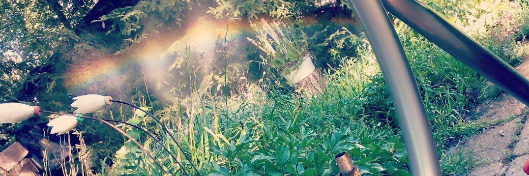 ms_denisova's profile banner image