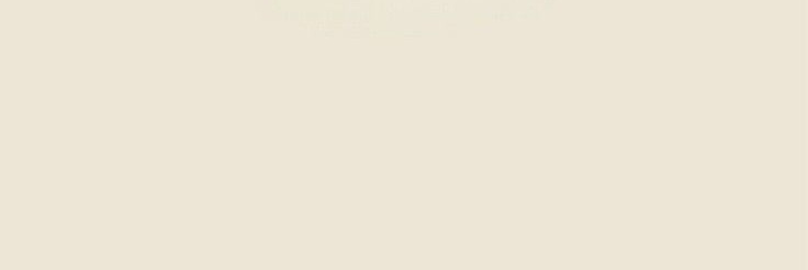 حسچي banner