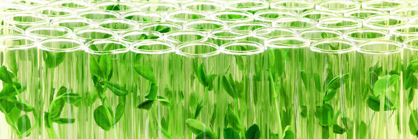 Germin8 Ventures banner