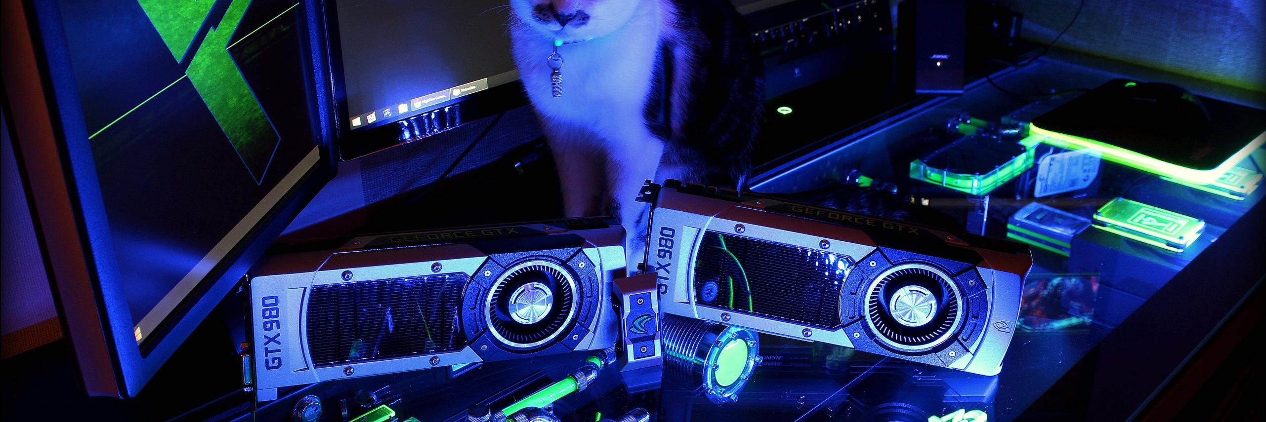 Phazzite's profile banner image