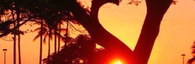 abdalamaabrk's profile banner image
