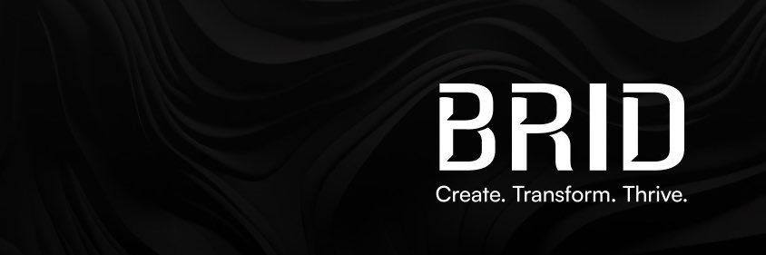 BridStudios's profile banner image