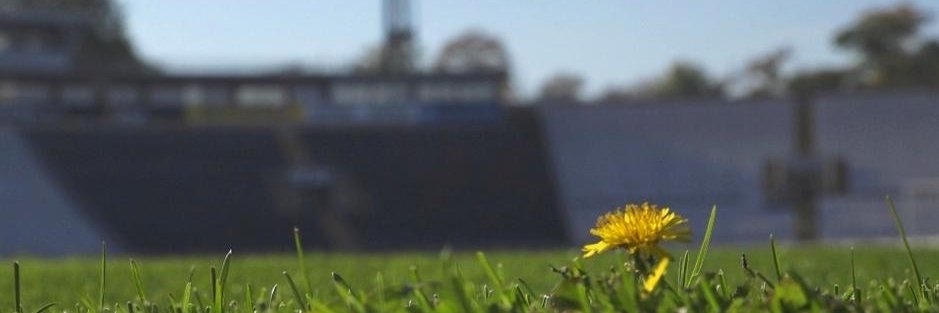 predragvujic's profile banner image