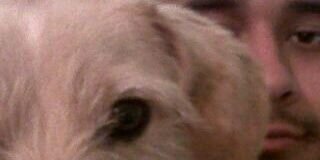 ELTANK's profile banner image
