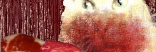doffyzone's profile banner image