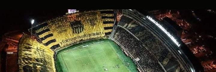 Fioree1891's profile banner image
