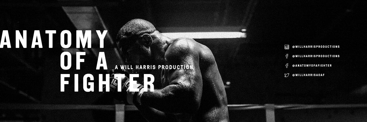 Anatomy of a Fighter's banner